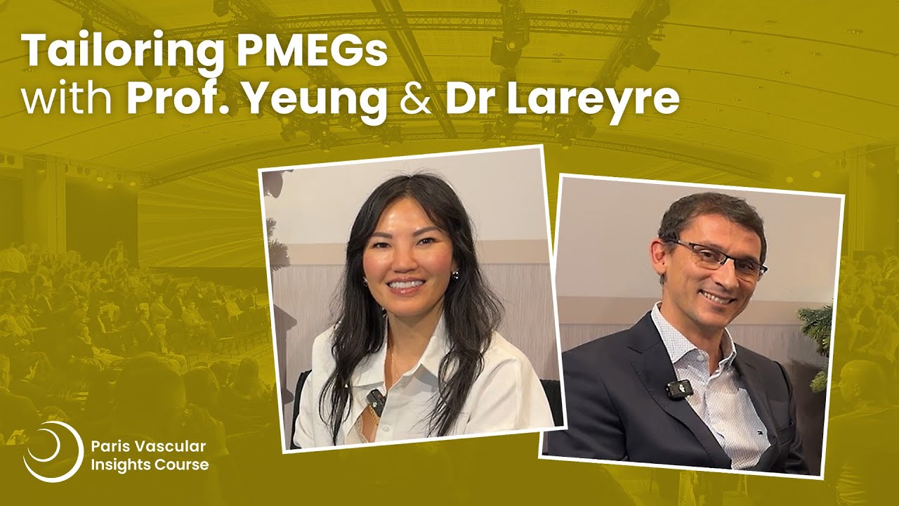 Tailoring PMEGs with Prof. Yeung & Dr Lareyre - PVI 2025