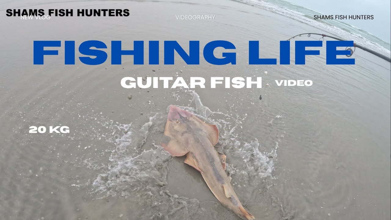GUITAR FISH SURF FISHING BEACH FISHING HYDERABAD FISHING TIPS AND TECHNIQUES 