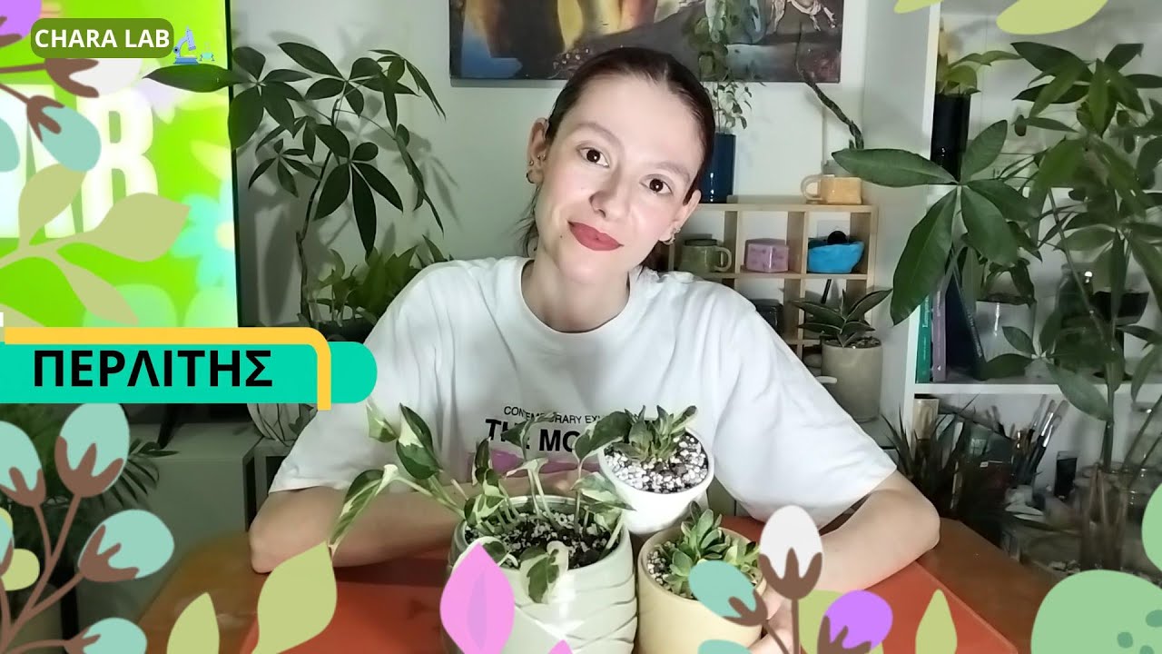 Τι είναι ο περλίτης; // Chara Lab