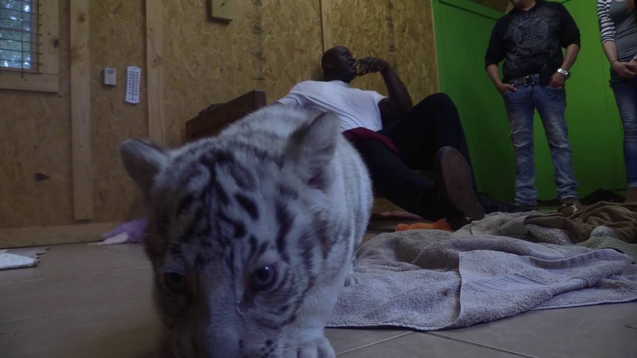 Shaq and Joe Exotic Fox 25 Interview - Joe Exotic TV