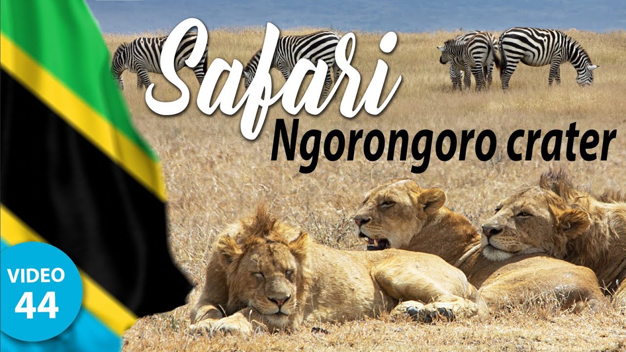 Amazing SAFARI to Ngorongoro crater in Tanzania - part two
