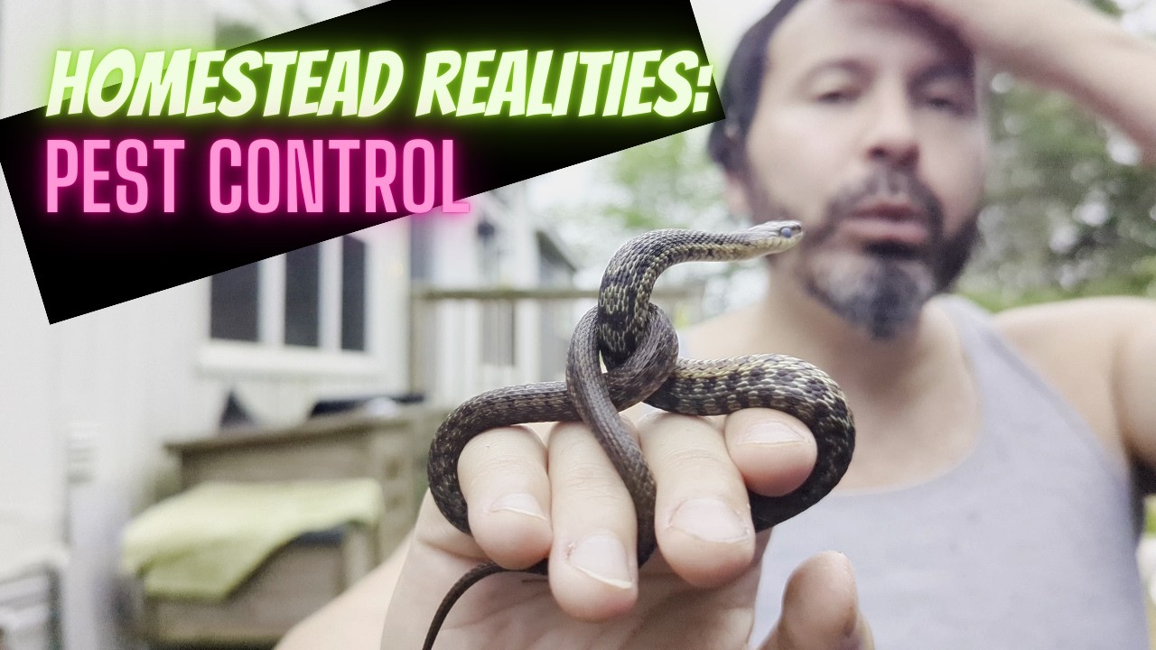 Homestead Pest Management [With special guest presenter!]