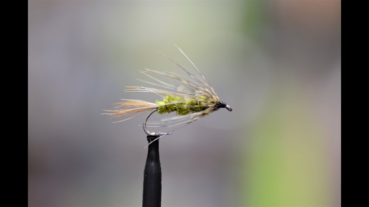 Carey Special