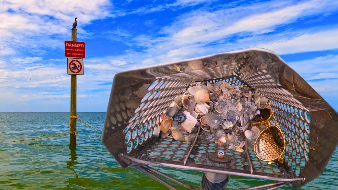 We Found Louis Vuitton and Gold!!! Beach Metal Detecting