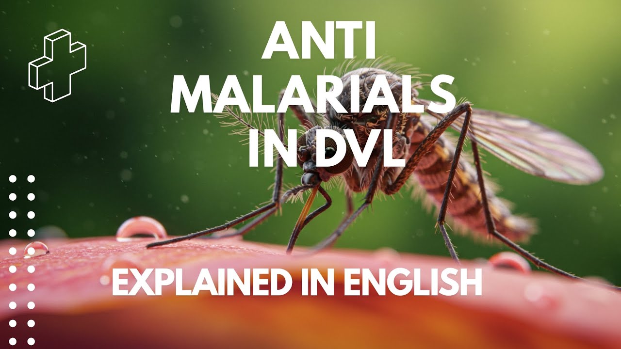 Antimalarial Drugs in DVL – Mechanism, Uses & Doses Simplified in English