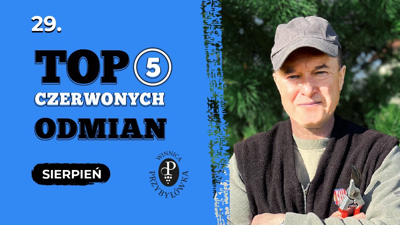 Moje TOP 5 czerwonych odmian winorośli