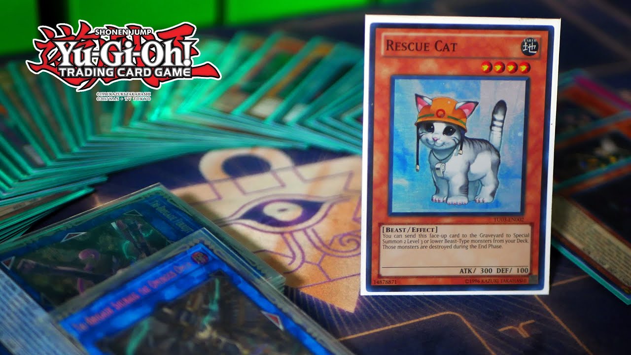 This Is What I've Been Wrecking Meta Decks With!