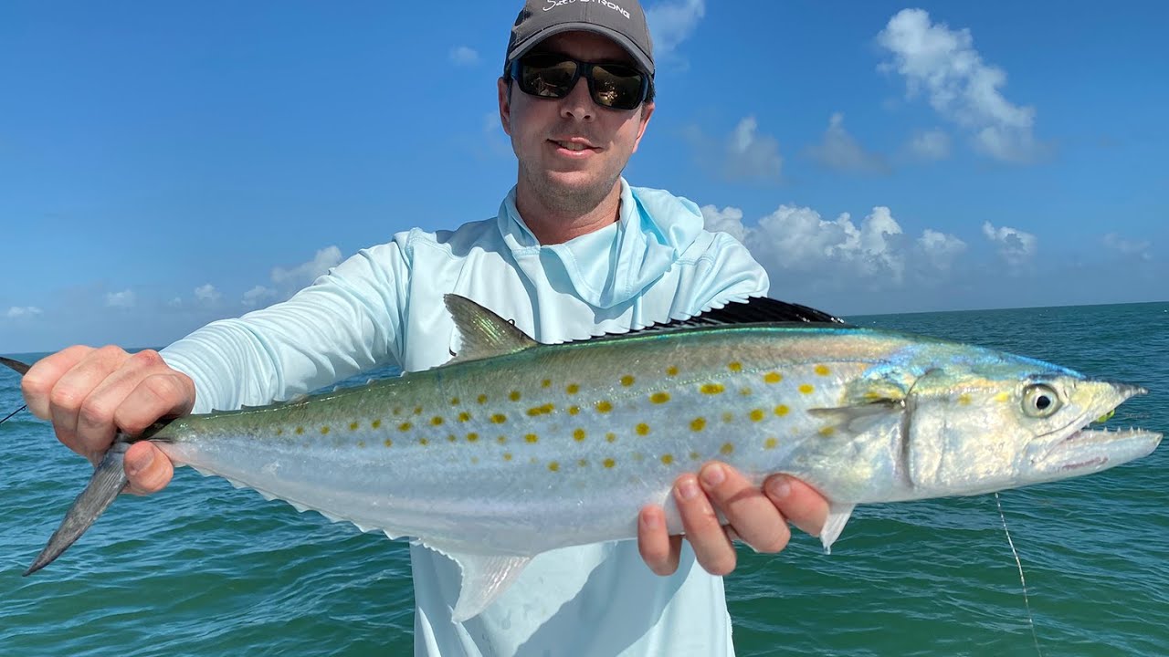 How To Catch Spanish Mackerel (The Easy Way)