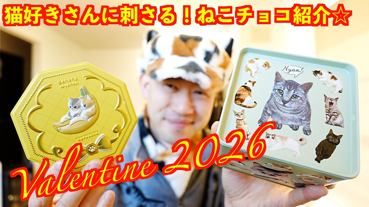 【猫好きさんに刺さる！ねこチョコ紹介☆】バレンタイン2026はこれで決まり♪