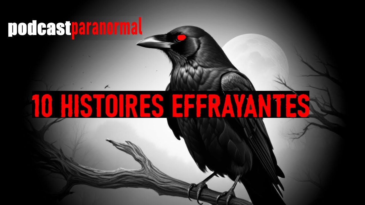 10 HISTOIRES VRAIES PARANORMALES POUR HALLOWEEN🎃  à écouter-DOGMAN-DJINN-maison hantée-esprit