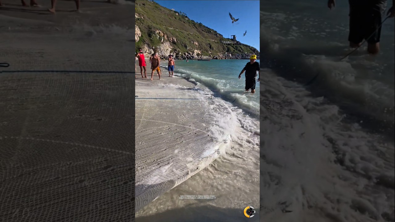 EXCEPTIONAL CATCH: Xerelete e o belo gesto na Praia Grande em Arraial do Cabo RJ Brasil 🇧🇷 #shorts​