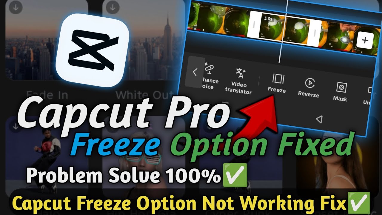 Capcut Freeze Option Not Working | Capcut Freeze Not Working | Capcut Freeze Problem Fixed ✅