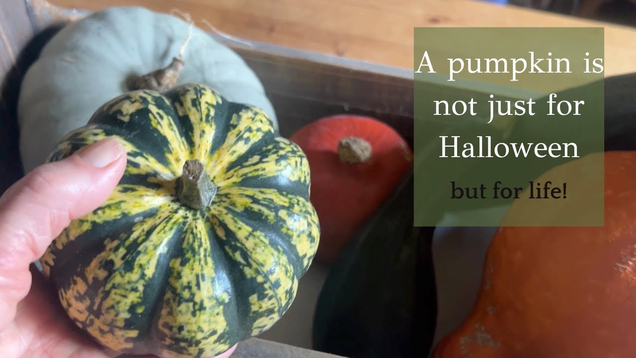 Pumpkin not just for Halloween, but for life wk 38