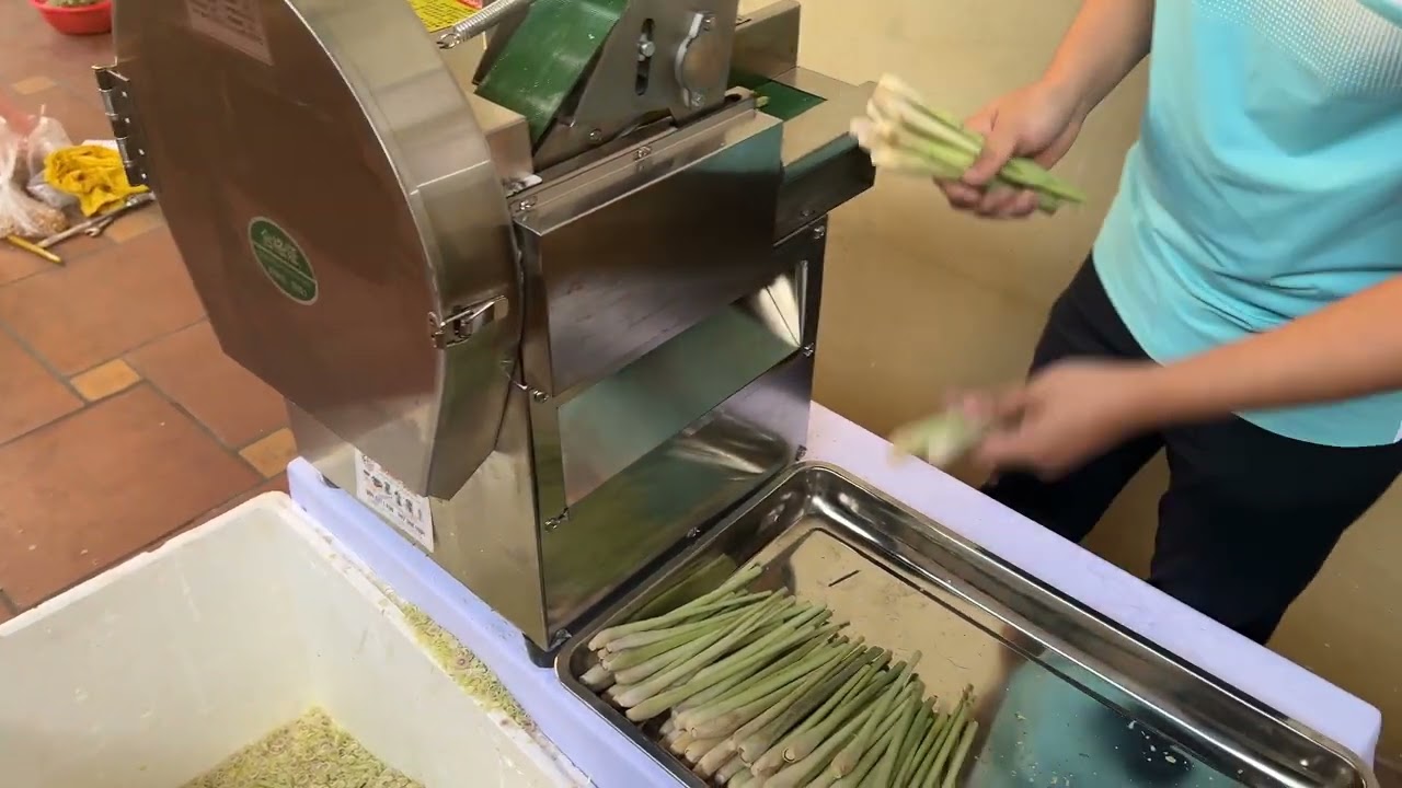 MÁY CẮT SẢ, MÁY THÁI SẢ - MÁY THÁI LÁT BĂNG TẢI CHD20