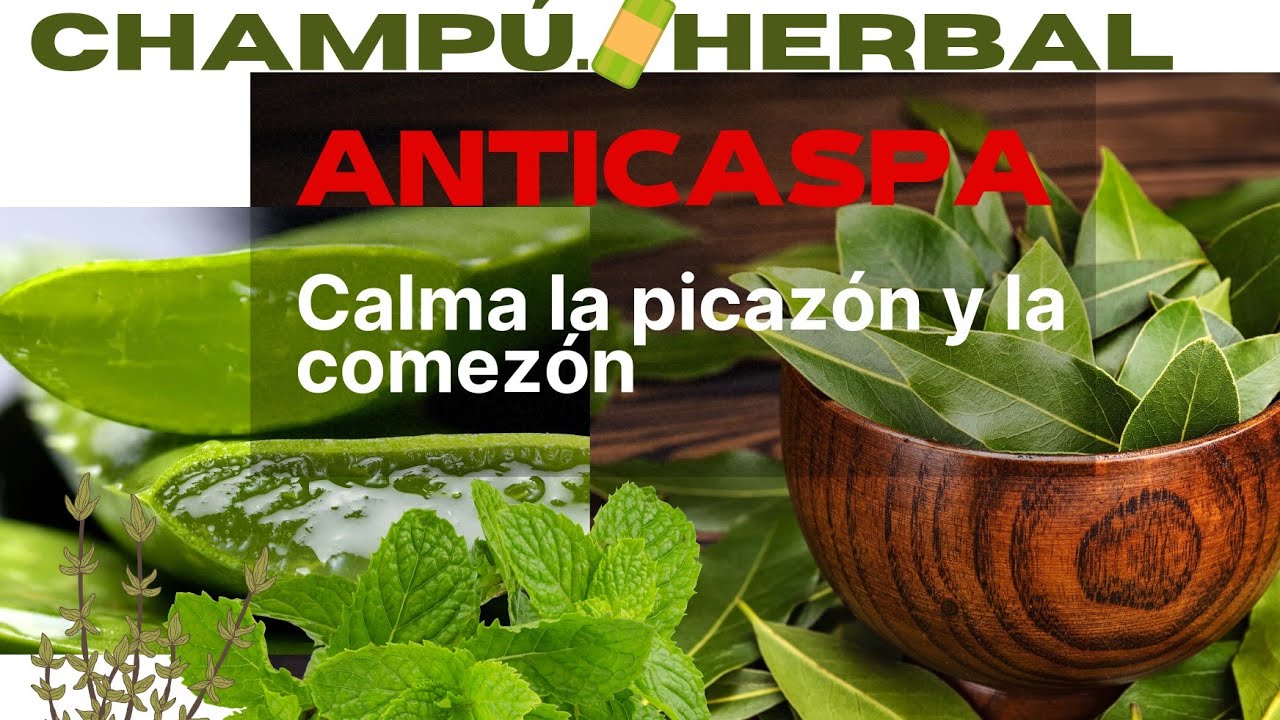 shampoo TIENES PICORES, comezón, ó irritación en el cuero cabelludo?/ prueba este champú 🧴👌🏻
