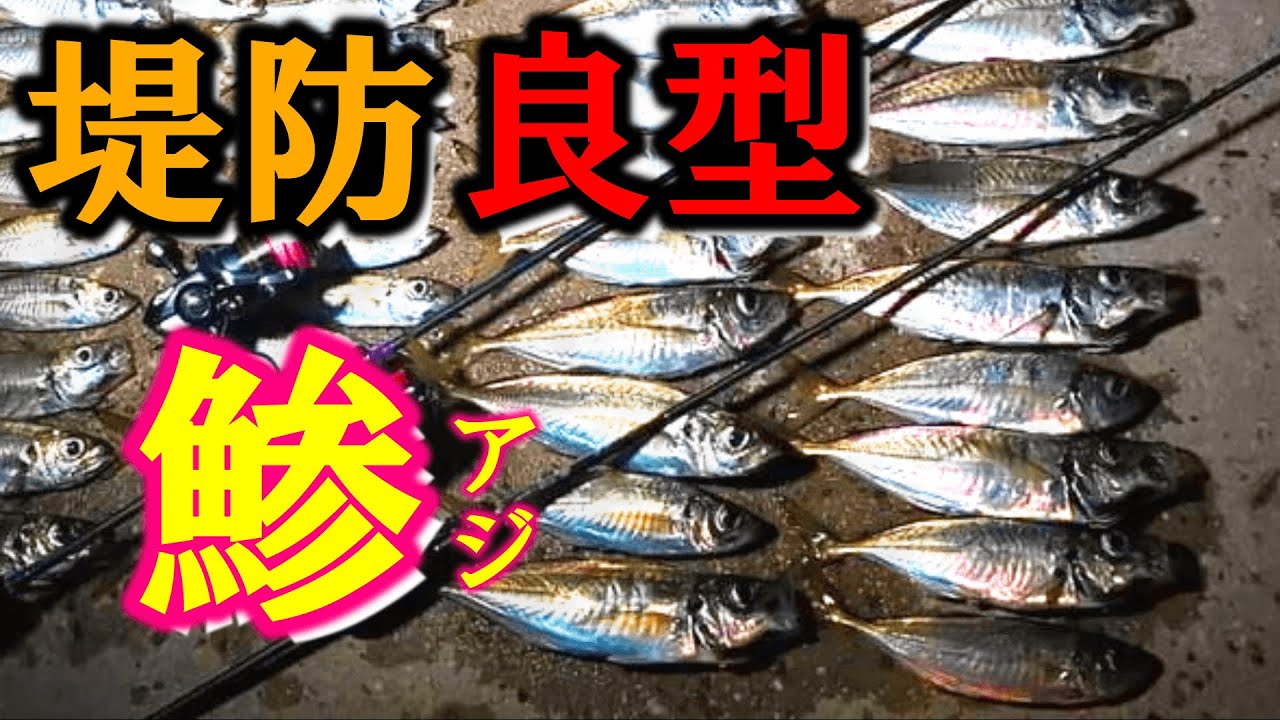 〇〇〇を狙え！堤防での良型アジの釣り方！
