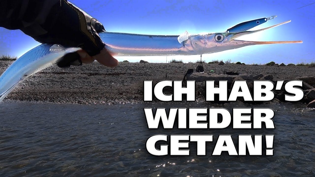 Ich hab es WIEDER getan | Hornhecht | Angeln mit Kunstködern an der Küste