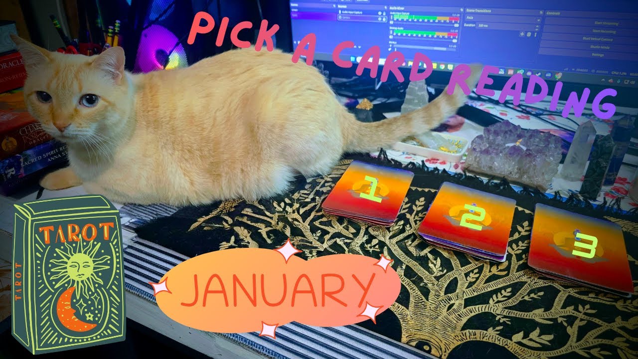 You Need To Hear This - January messages - Pick a card