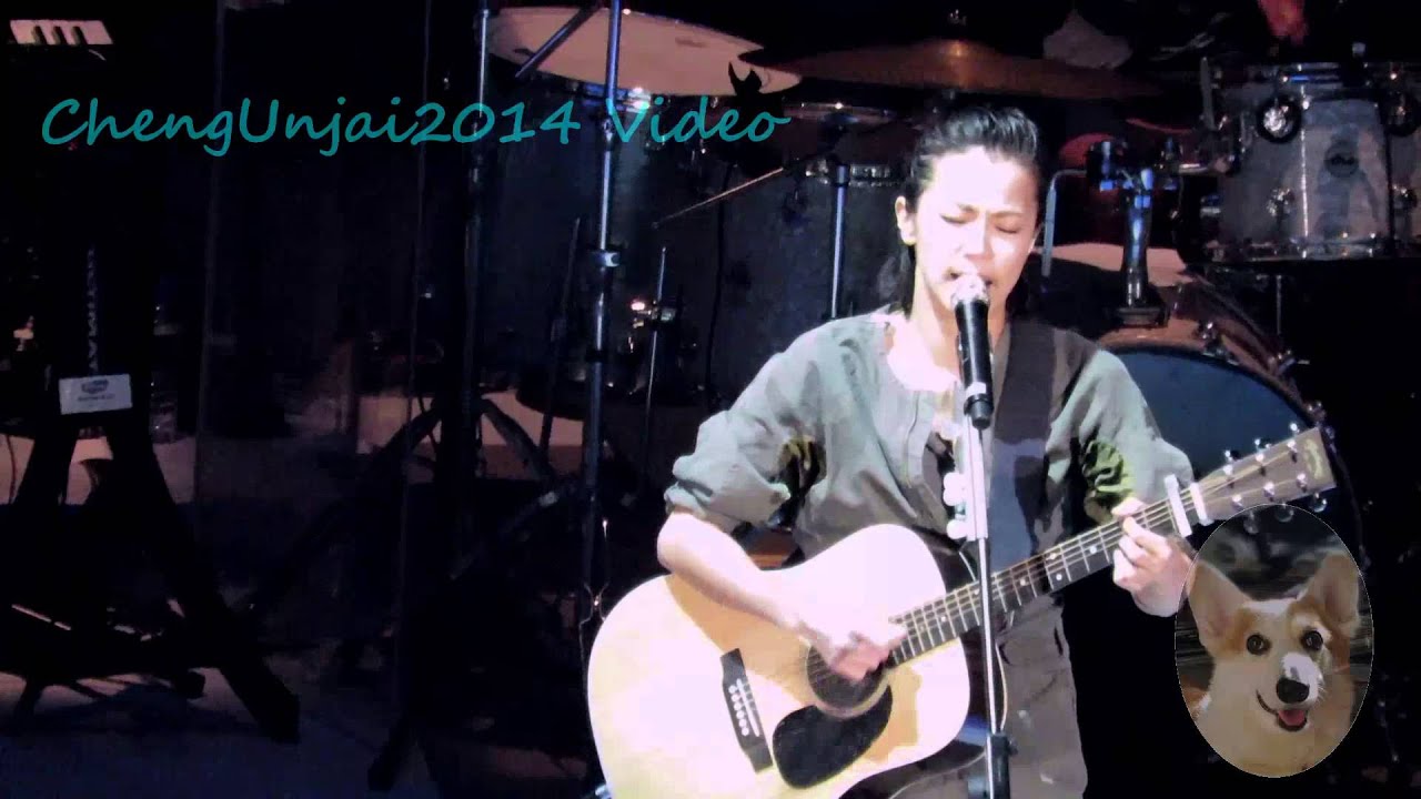 何韻詩 - 木紋 @HOCC 2015 Reimagine HK 十八種香港演唱會 2015.08.21