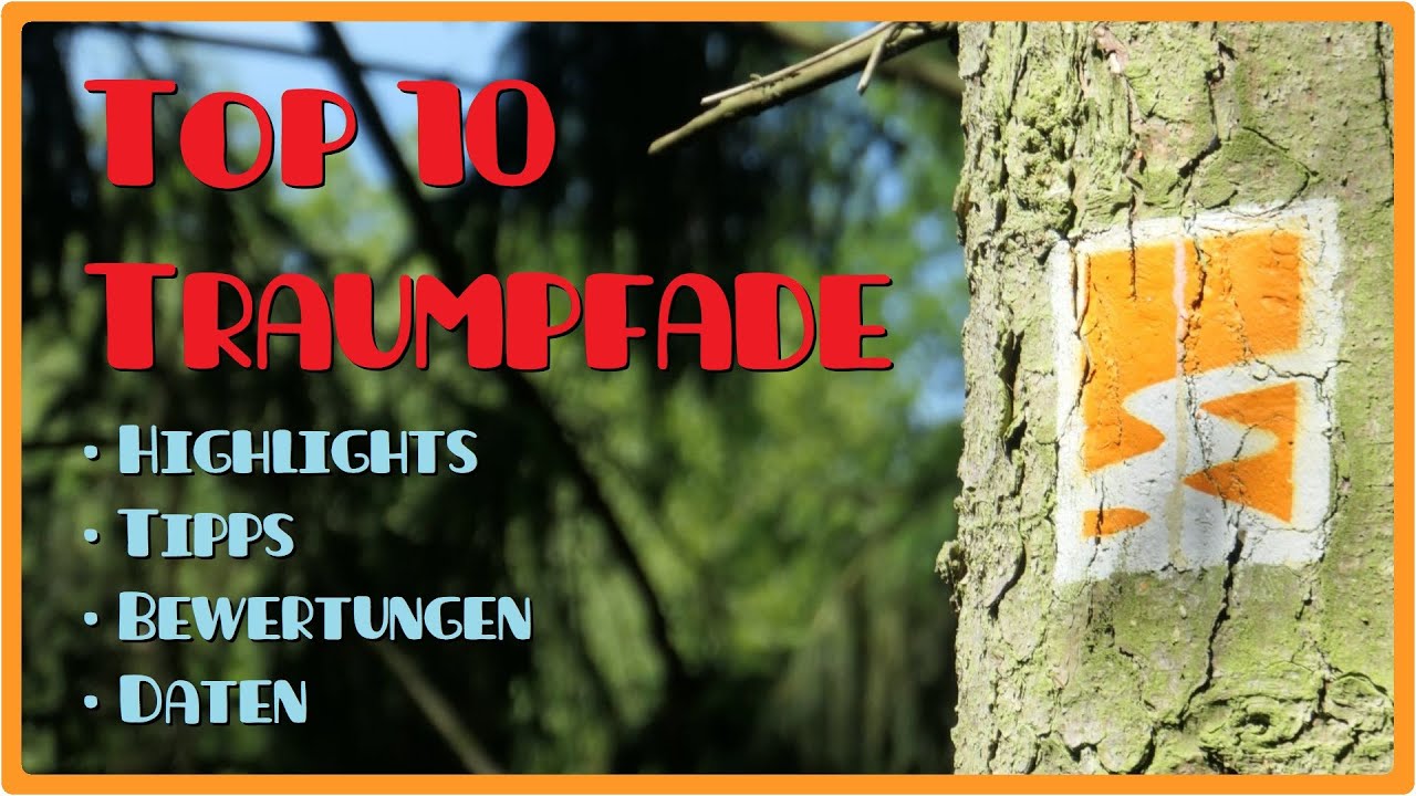 Top 10: Traumpfade in der Eifel | Welche Touren lohnen sich? [2,7K]
