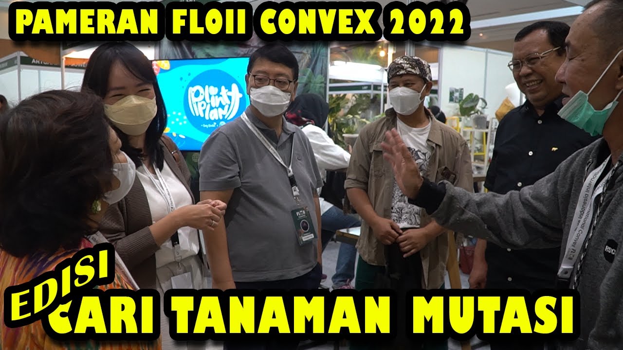 CARI TANAMAN MUTASI DI PAMERAN TANAMAN FLOII CONVEX 2022