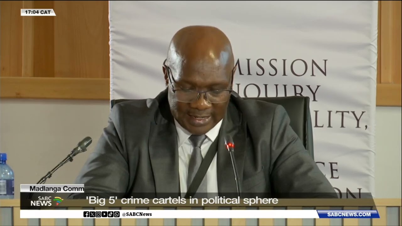 Madlanga Commission | 'Big 5' crime cartels in political sphere
