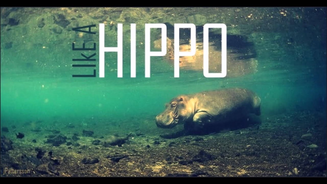 JPATTERSSON - Like A Hippo