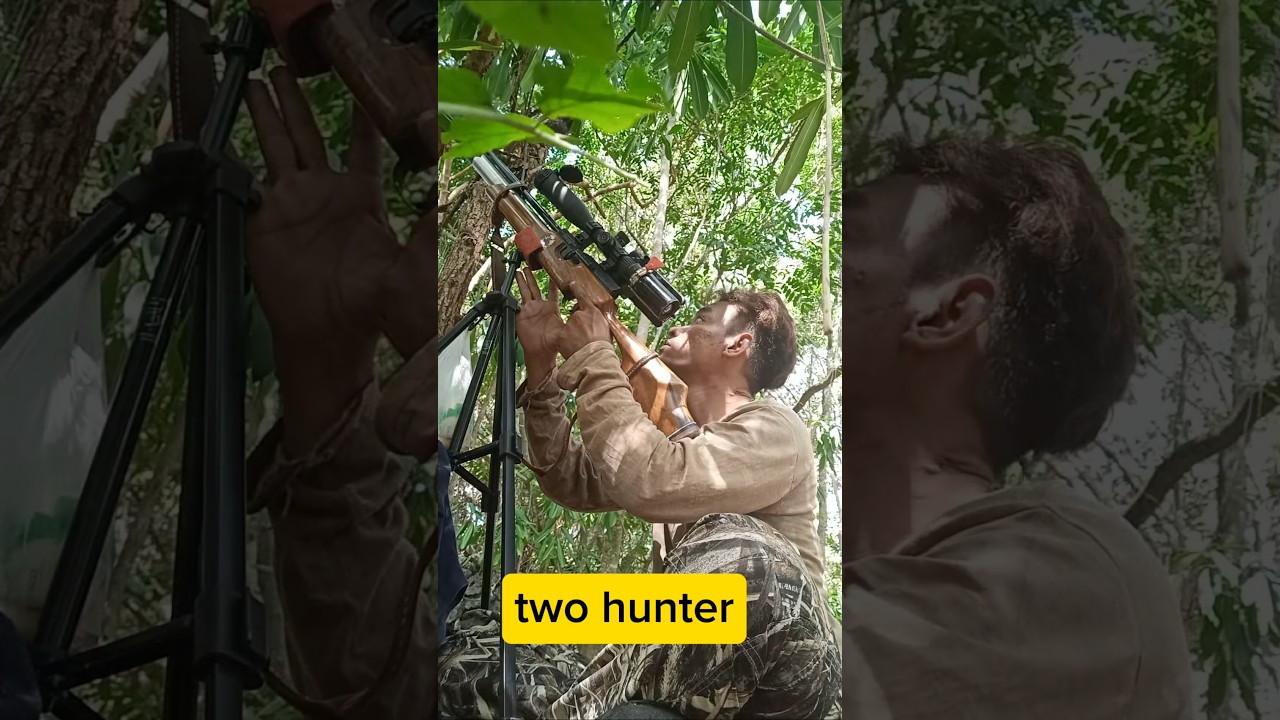 berburu punai#shoot #berburupunaiterbaru #berburu #berburupunai #berburuburungpunai #hunting #punai