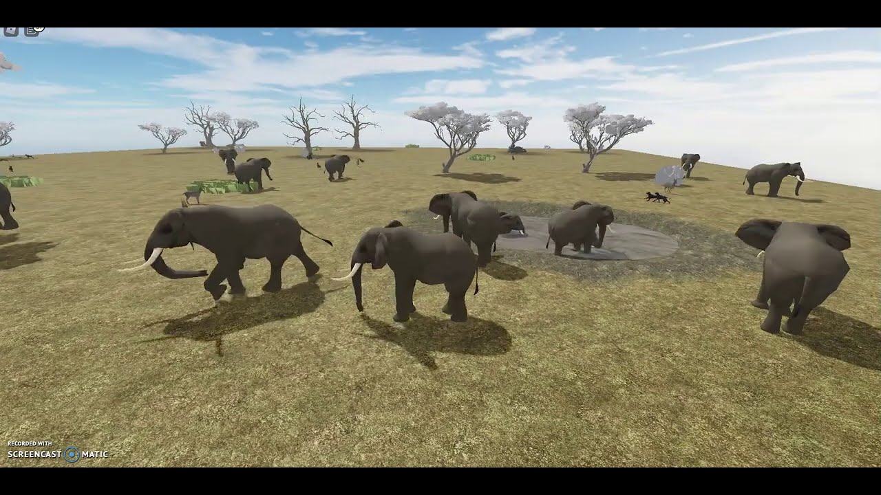 STAMPEDE! | Testing C | Roblox