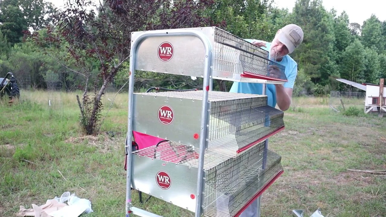 HOW TO SETUP QUAIL CAGES FROM WYNOLA RANCH??