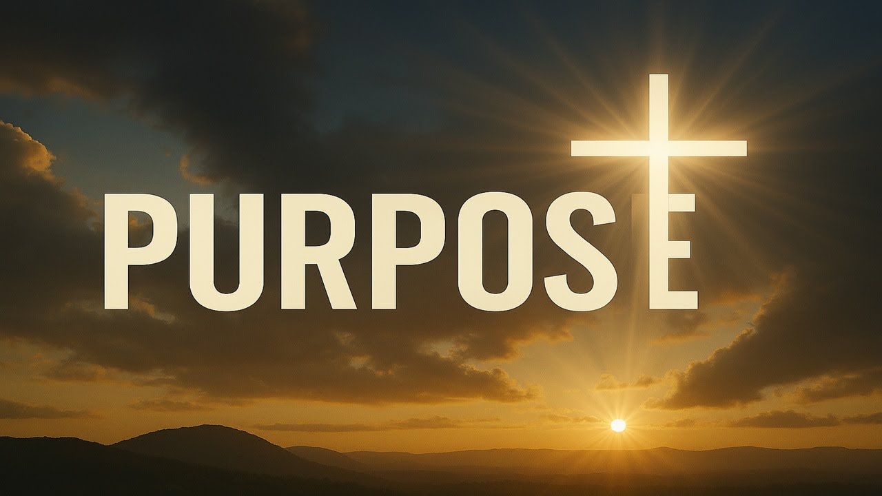 Purpose