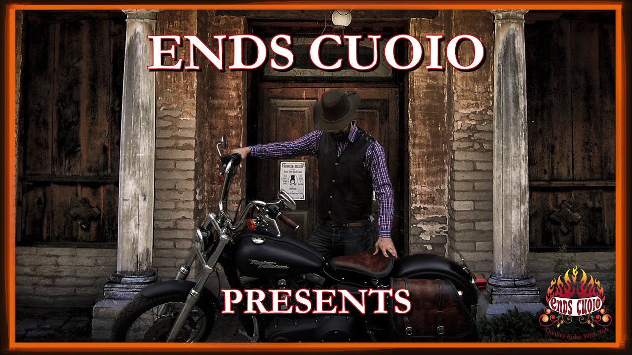 Harley-Davidson&reg; Dyna&reg; - Leather saddlebags - ENDS CUOIO
