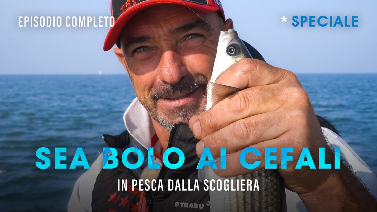 Pesca a BOLOGNESE in MARE: CEFALI (dalla SCOGLIERA) » SPECIALE (E) @trabuccofishing​
