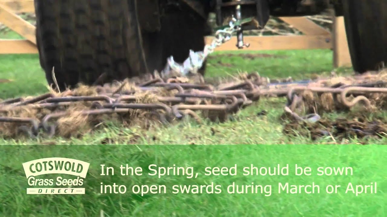 Руководство по травам для лошадей и пони — Cotswold Seeds