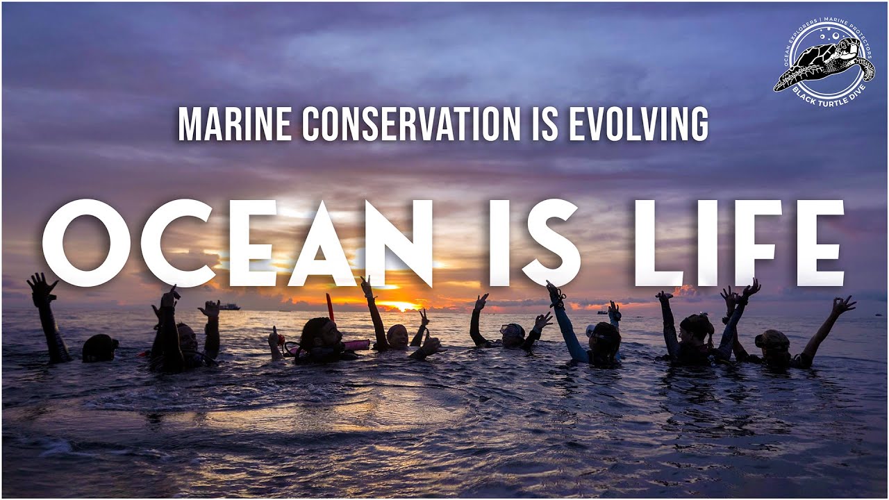 OCEAN IS LIFE (Full Documentary) | Marine Conservation Is Evolving