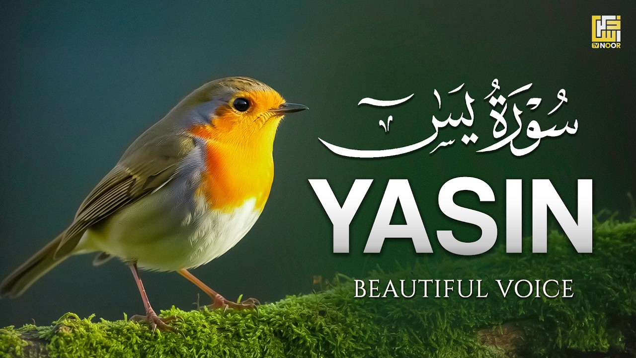 Surah Yaseen (سورة يس) | Listen Daily for Barakah & Spiritual Comfort #relaxingquran