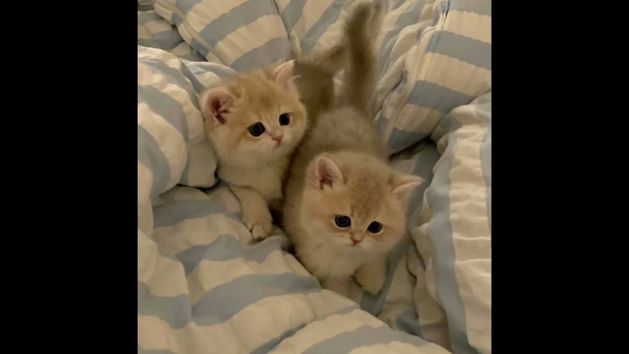 AESTHETIC PINK SHOES | AESTHETIC INN |