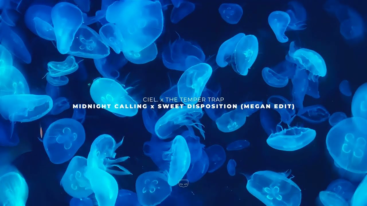 CIEL. x The Temper Trap - Midnight Calling x Sweet Disposition (MEGAN Edit)