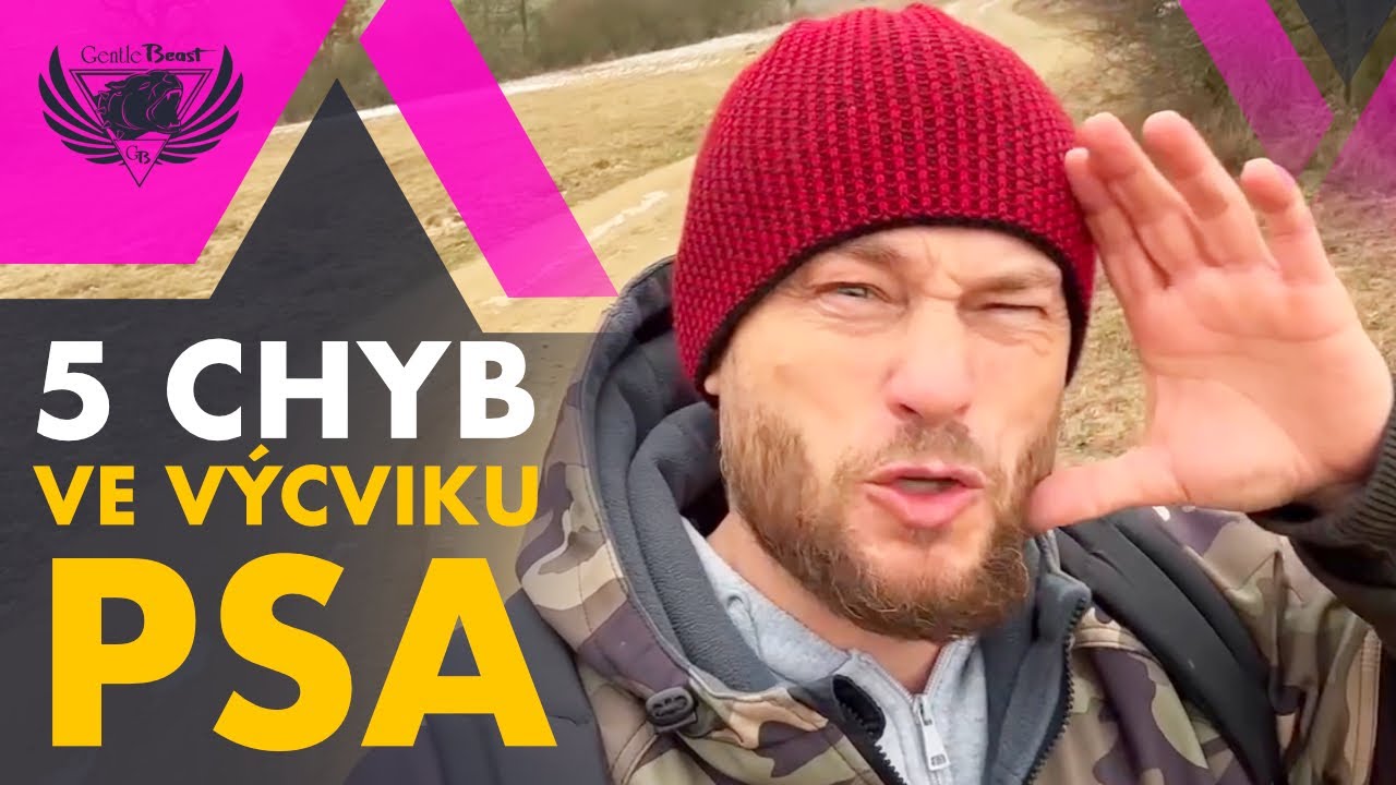 DALŠÍCH 5 NEJVĚTŠÍCH CHYB VE VÝCVIKU PSA (DÍL 2)