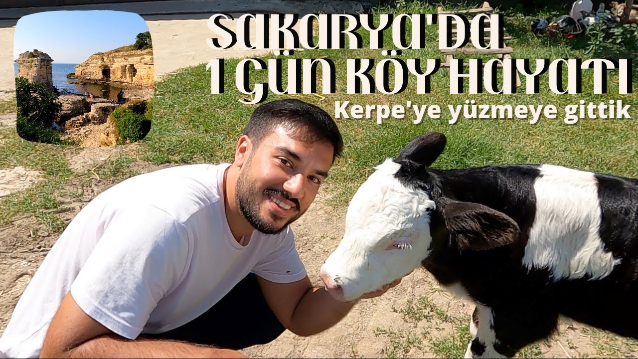 Sakarya'da 1 gün köy hayatı: Buzak çiçek ilk kez su içti, Kocaeli Kerpe'de kayalıklardan atladım