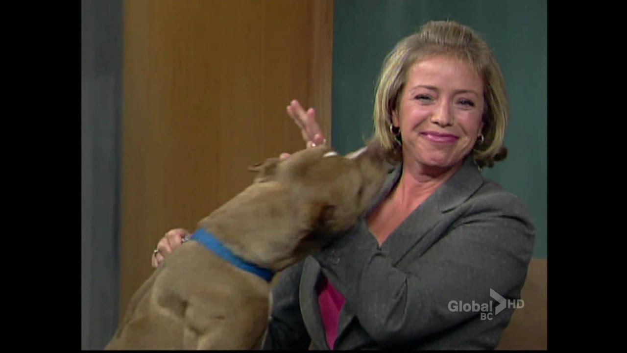 BCTV noon news: dog licking the news host