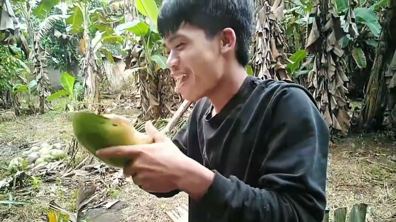 NAG PUNTA SA BUKID  KUMOHA NANG BUKO  SAGING 