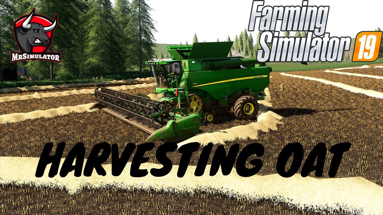 Plowing and harvesting oat!| No Mans land | Farming Simulator 19 | Timelapse ep 71