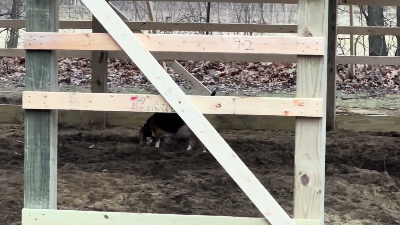 Обновление информации о строительстве каркасного сарая размером 30 x 40 футов: переместили часть ...