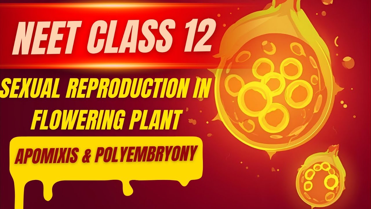 L-14 Apomixis & Polyembryony | Class 12 NEET Biology