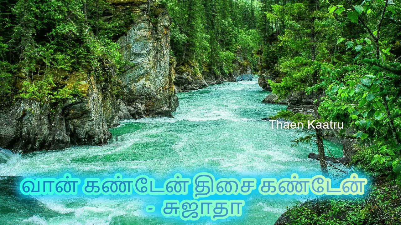திசை கண்டேன் வான் கண்டேன் | vaan kanden thisai kanden | Sujatha's scientific novel  | Thaen Kaatru