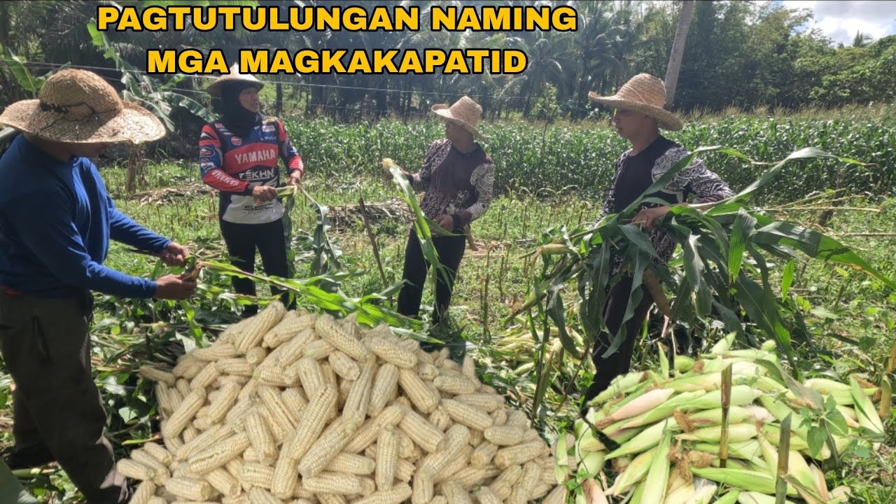 450 KILOS NA PITAS TINULUNGAN KAMI NILA UTOL SA PAMUMUTI PANGATLO ARAW NATIN