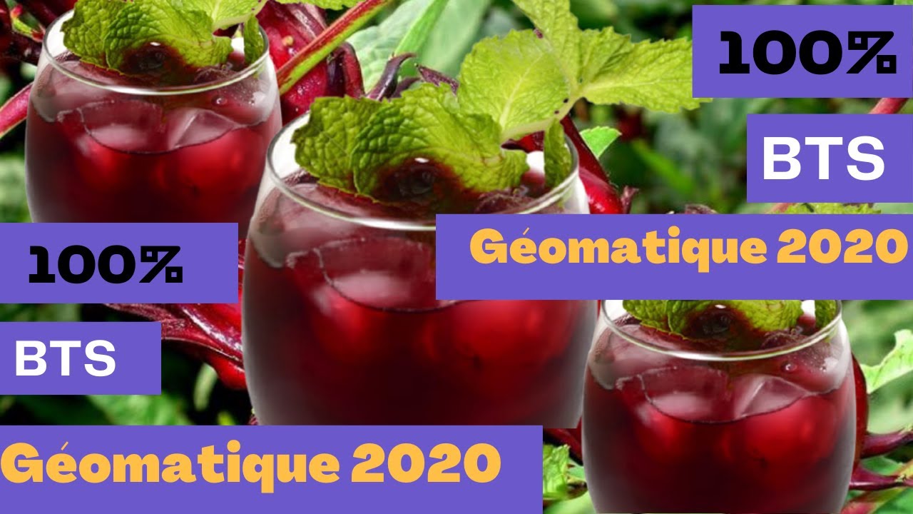 BTS G&eacute;omatique