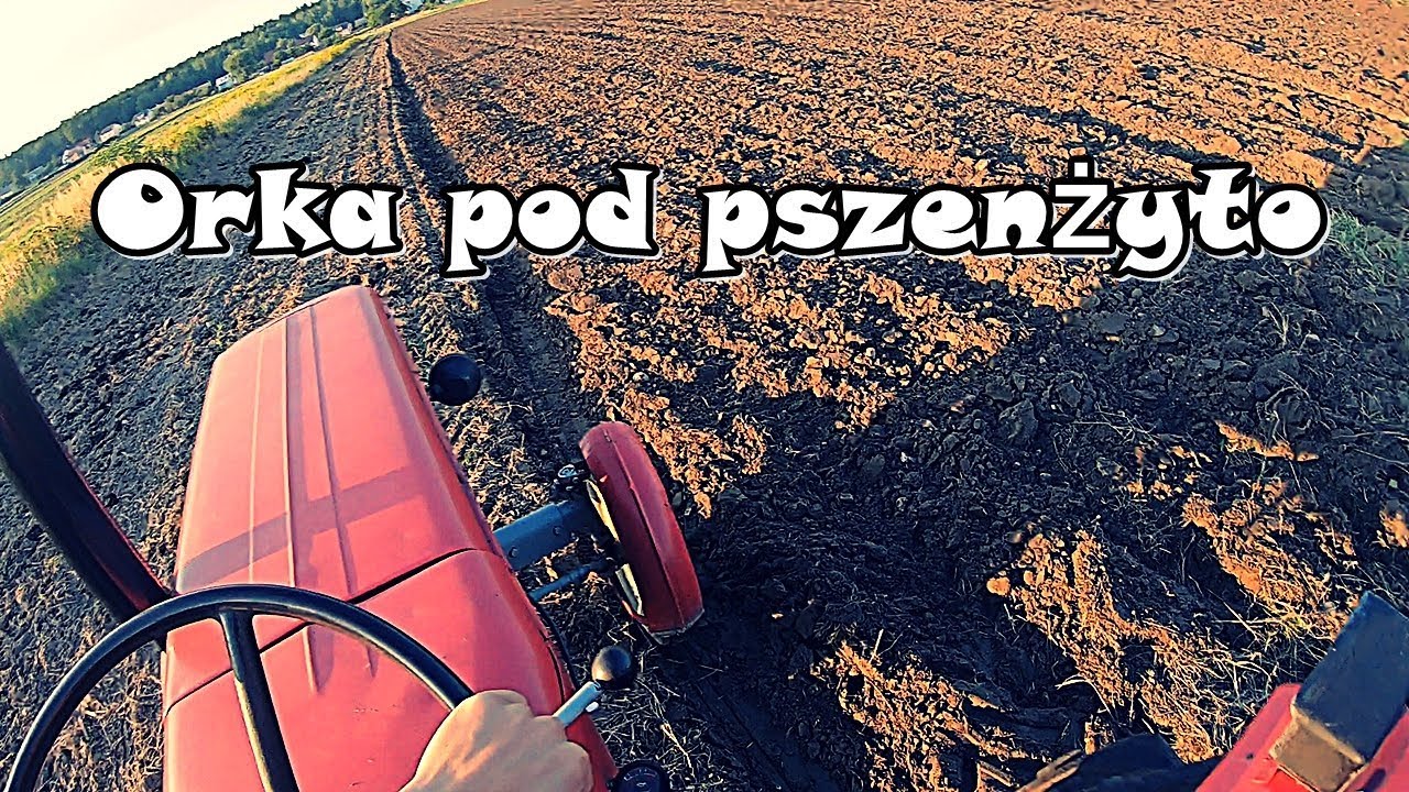 😂Orka pod pszenżyto😁c-360 w akcji 😀