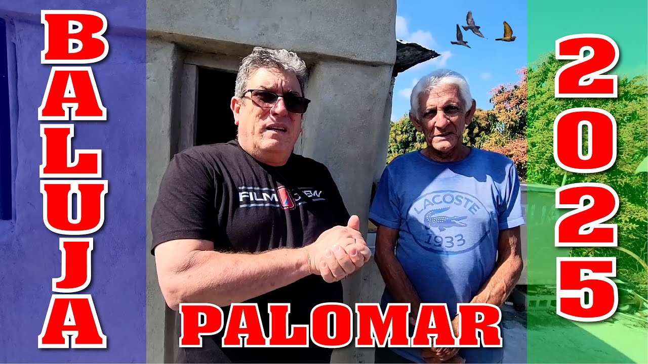 LAS PALOMAS de BALUJA en el 2025
